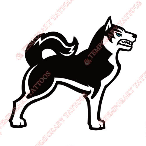 Northeastern Huskies Customize Temporary Tattoos Stickers NO.5637